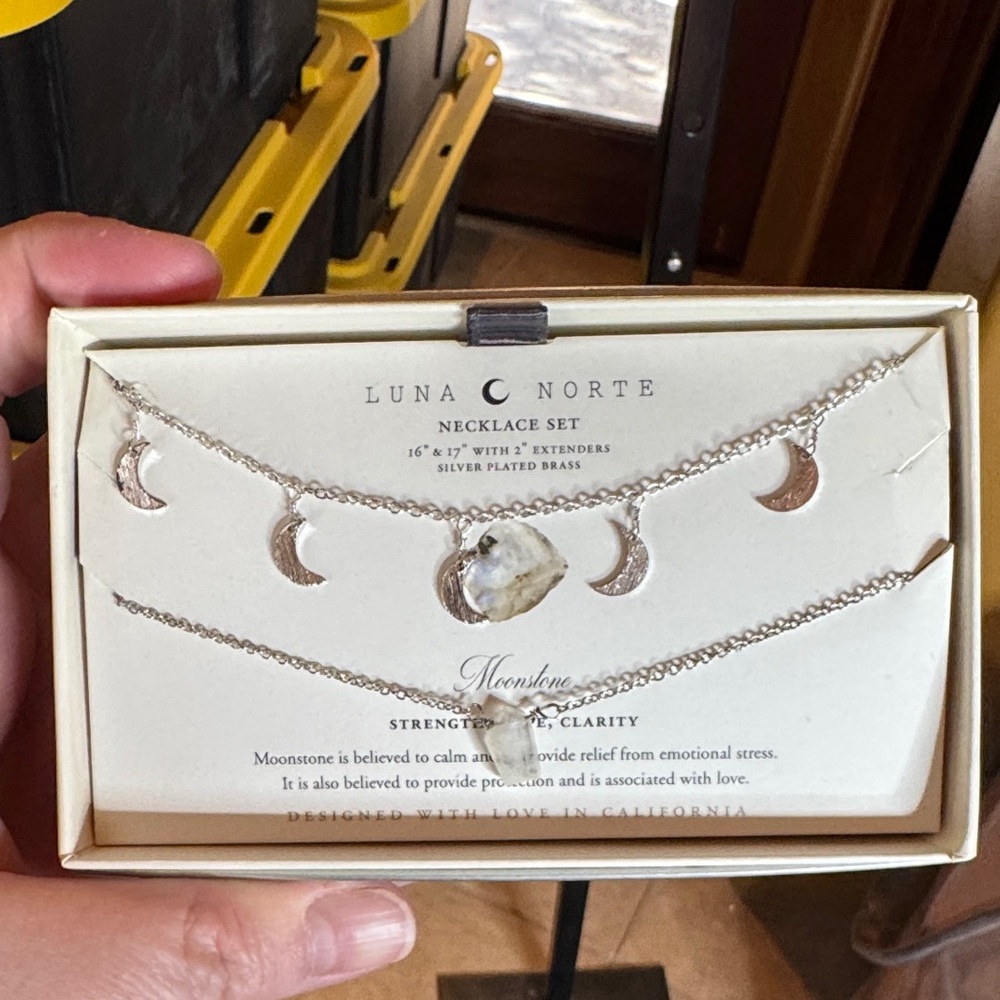 NIB Luna Norte Moonstone Crescent Moon Layered Necklace Set Silver